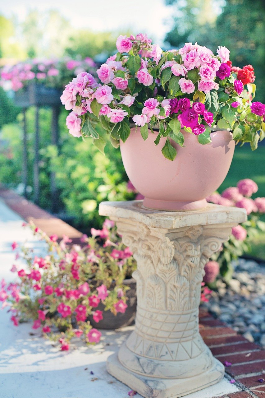 flowers, pink, garden